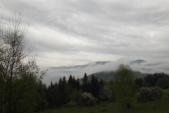 dsc00647