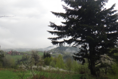 dsc00650