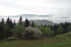 dsc00655