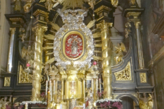 dsc00728