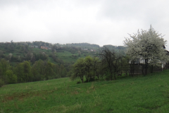 dsc00873