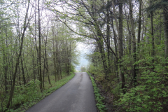 dsc00906