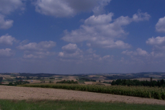 ste05