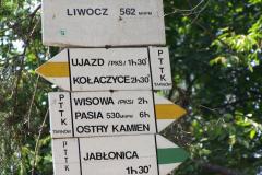 liwocz07