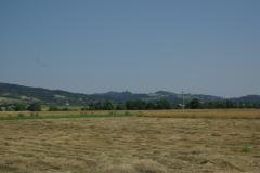 o06
