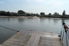 sam_4697b