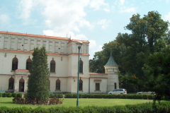 p31