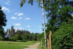 sam_4183_1