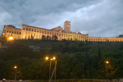 12-008