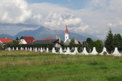 dsc02061