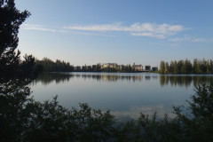 dsc02117