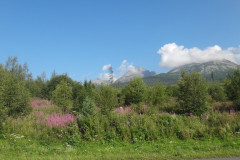 dsc02130