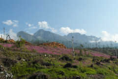 dsc02130a