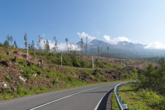 dsc02132